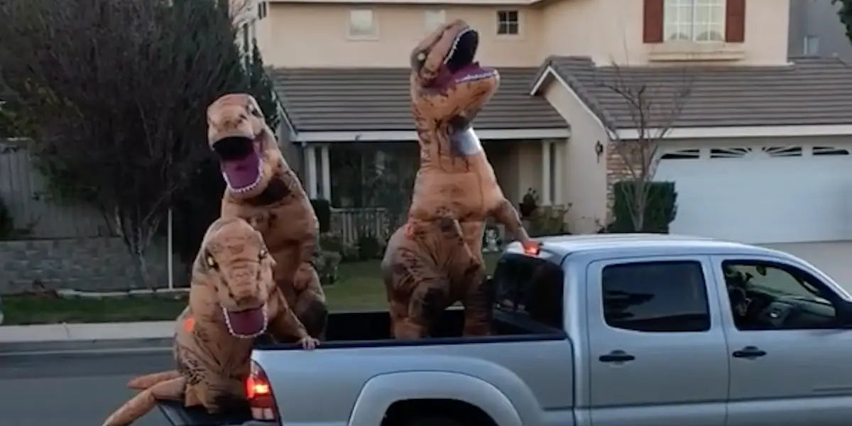 Costume Dinosaure/ Mascotte